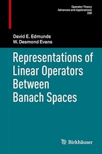 Representations of Linear Operators Between Banach Spaces - David E. Edmunds - E-Book