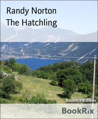 The Hatchling - Randy Norton - E-Book