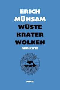 Wüste, Krater, Wolken - Erich Mühsam - E-Book