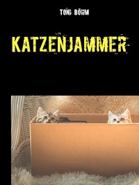 Katzenjammer - Toni Böhm - E-Book