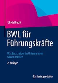 BWL für Führungskräfte - Ulrich Brecht - E-Book