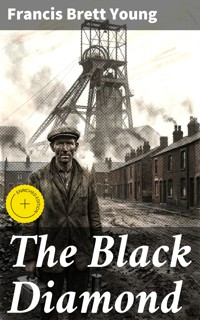 The Black Diamond - FRANCIS BRETT. YOUNG - E-Book