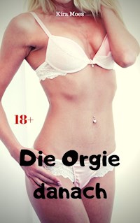 Die Orgie danach - Kira Moes - E-Book