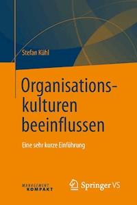 Organisationskulturen beeinflussen - Stefan Kühl - E-Book