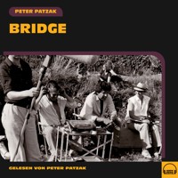 Bridge - Peter Patzak - Hörbuch