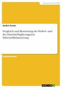 Vergleich und Bewertung der Hoftor- und der Einzelschlagbezogenen Nährstoffbilanzierung - André Grote - E-Book