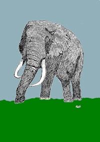 Die Tolympiade - Johann D.W. George - E-Book