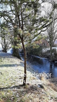 Das Teufelsmoor Quartier - Joachim Janssen - E-Book