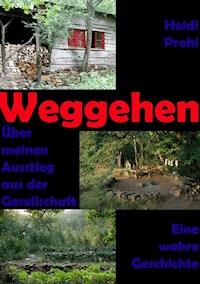 Weggehen - Heidi Prohl - E-Book