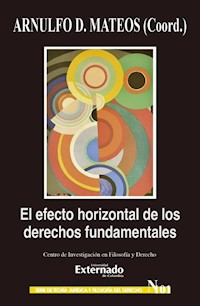 El efecto horizontal de los derechos fundamentales - Arnulfo Daniel Mateos Durán - E-Book