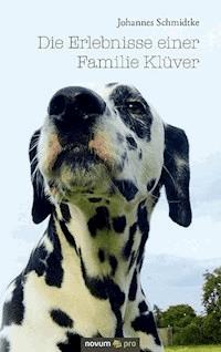 Die Erlebnisse einer Familie Klüver - Johannes Schmidtke - E-Book