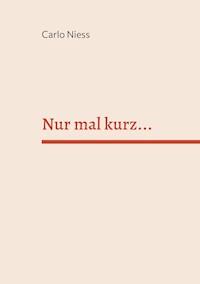 Nur mal kurz... - Carlo Niess - E-Book
