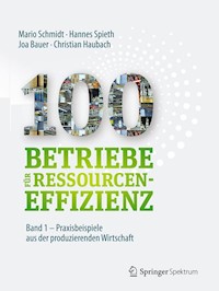 100 Betriebe für Ressourceneffizienz - Band 1 - Mario Schmidt - E-Book