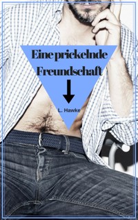 Eine prickelnde Freundschaft - L. Hawke - E-Book