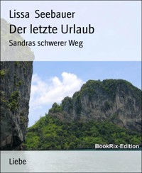 Der letzte Urlaub - Lissa Seebauer - E-Book