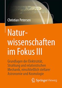 Naturwissenschaften im Fokus III - Christian Petersen - E-Book
