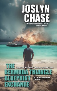 The Bermuda Triangle Blueprint Exchange - Joslyn Chase - E-Book