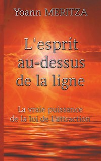 L'esprit au-dessus de la ligne - Yoann Meritza - E-Book
