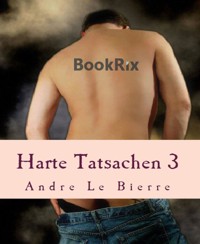 Harte Tatsachen 3 - Andre Le Bierre - E-Book