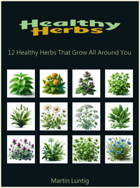 Healthy Herbs - Martin Luntig - E-Book
