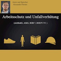 Arbeitsschutz und Unfallverhütung - Alexander Förster - Hörbuch