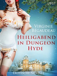 Heiligabend in Dungeon Hyde - Erotische Novelle - Virginie Bégaudeau - E-Book