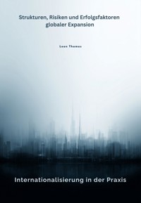 Internationalisierung in der Praxis - Leon Thomes - E-Book