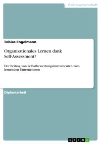 Organisationales Lernen dank Self-Assessment? - Tobias Engelmann - E-Book