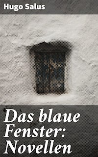 Das blaue Fenster: Novellen - Hugo Salus - E-Book