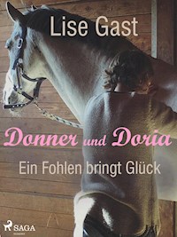 Ein Fohlen bring Glück - Lise Gast - E-Book