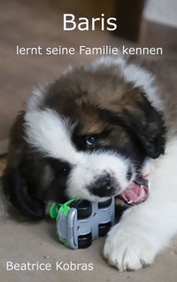 Baris - lernt seine Familie kennen - Beatrice Kobras - E-Book