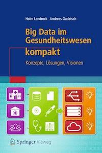 Big Data im Gesundheitswesen kompakt - Holm Landrock - E-Book