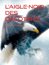 L'Aigle-Noir des Dacotahs - Aimard Gustave - E-Book