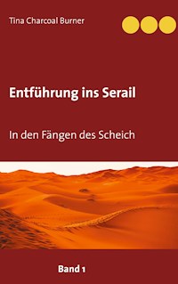 Entführung ins Serail - Tina Charcoal Burner - E-Book