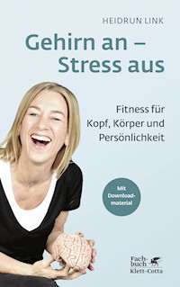 Gehirn an – Stress aus - Heidrun Link - E-Book