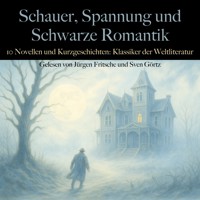Schauer, Spannung und Schwarze Romantik: 10 Novellen und Kurzgeschichten - E.T.A. Hoffmann - Hörbuch