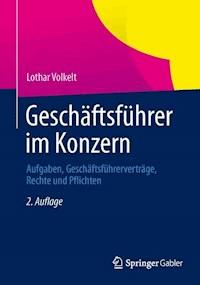 Geschäftsführer im Konzern - Lothar Volkelt - E-Book