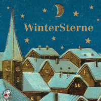 Wintersterne - Ute Kleeberg - Hörbuch