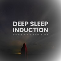 Deep Sleep Induction - Hypnosis Institute - Hörbuch