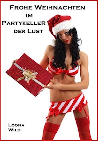 Frohe Weihnachten im Partykeller der Lust - Loona Wild - E-Book