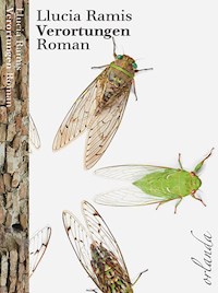 Verortungen - Llucia Ramis - E-Book