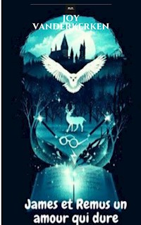 James et Remus un amour qui dure - Joy Vanderkerken - E-Book