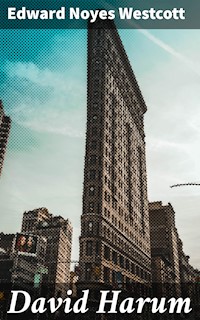 David Harum - Edward Noyes Westcott - E-Book