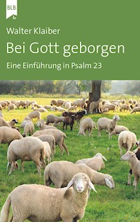 Bei Gott geborgen - Walter Klaiber - E-Book