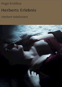 Herberts Erlebnis - Hugo Erotikus - E-Book