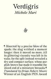 Verdigris - Michele Mari - E-Book