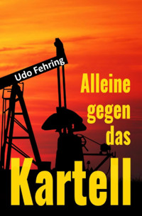 Alleine gegen das Kartell - Udo Fehring - E-Book