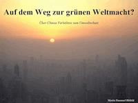 Auf dem Weg zur grünen Weltmacht? - Moritz Höfeld - E-Book