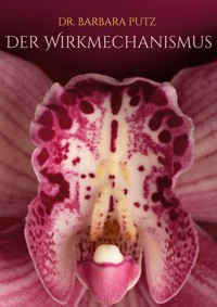 Der Wirkmechanismus - Barbara Putz - E-Book