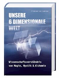 Unsere 6 Dimensionale Welt - Illobrand von Ludwiger - E-Book